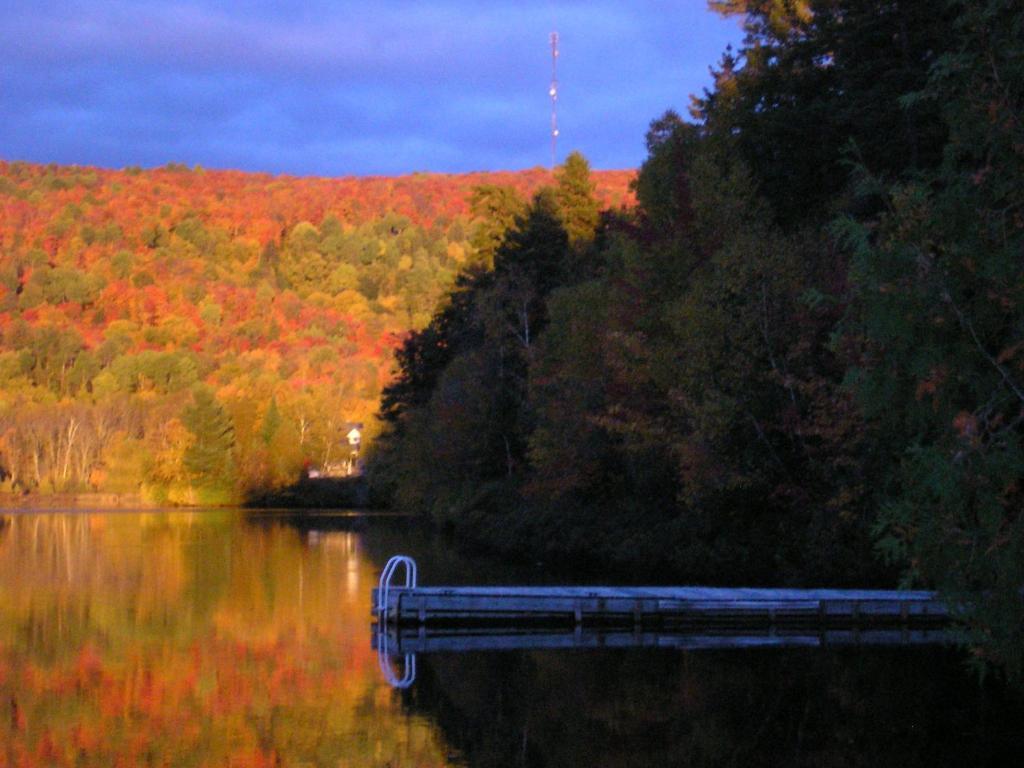 Lac-Saguay Motel Ours Bleu المظهر الخارجي الصورة