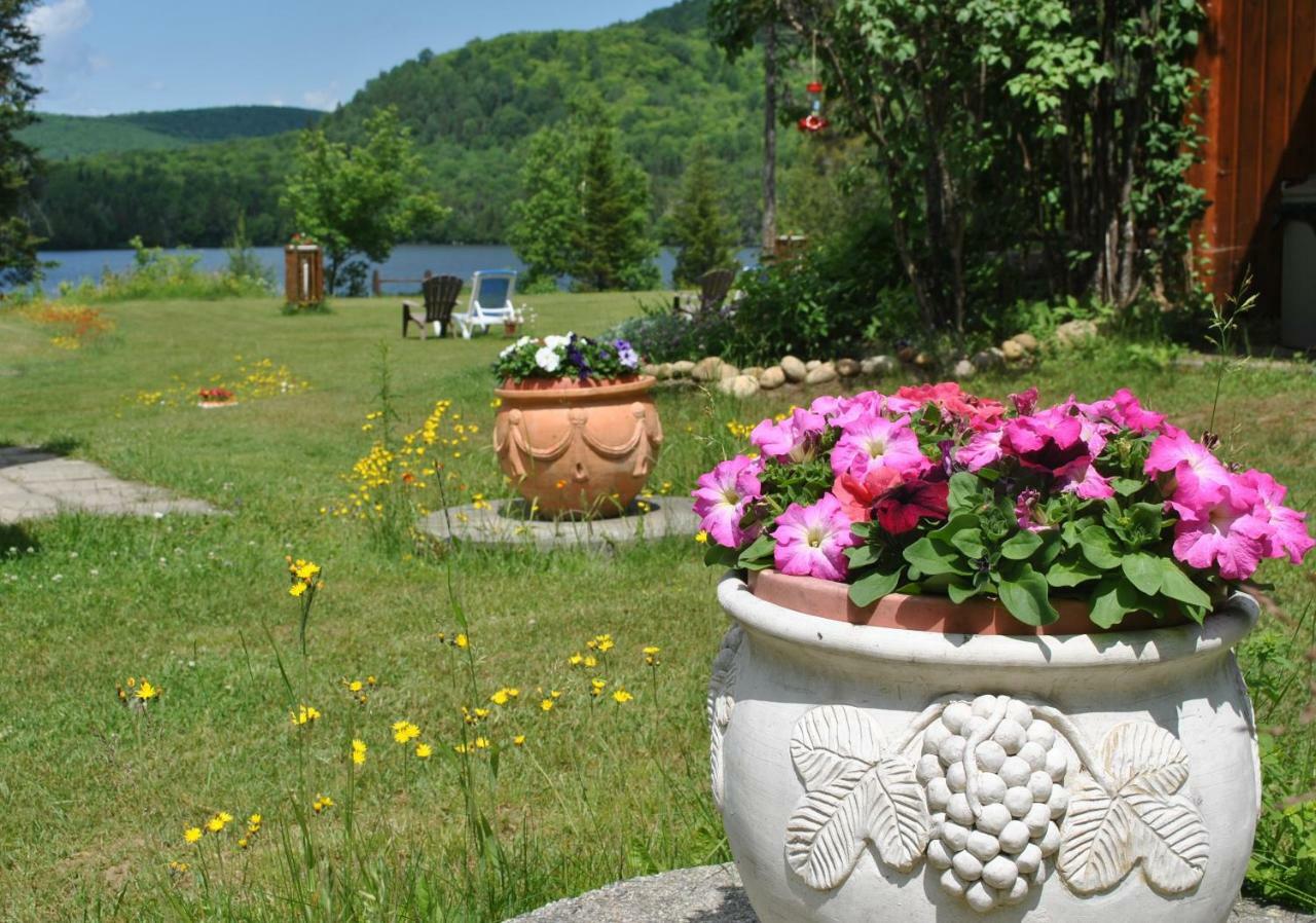 Lac-Saguay Motel Ours Bleu المظهر الخارجي الصورة