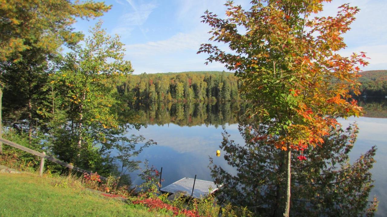 Lac-Saguay Motel Ours Bleu المظهر الخارجي الصورة